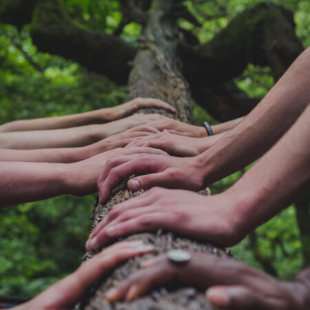 a tree trunk with many people's hands touching it
