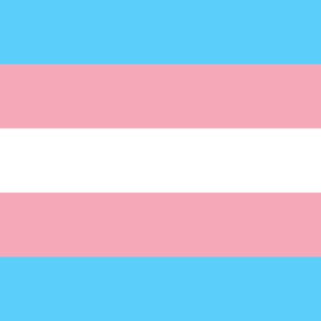 Transgender Pride Flag: five horizontal stripes from top to bottom light blue, light pink, white, light pink, and light blue